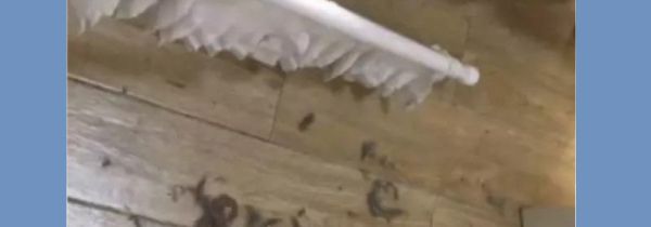 床太矮如何清扫床底