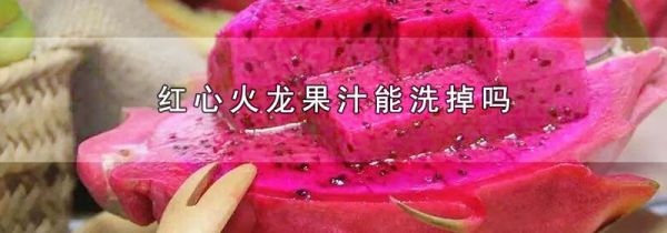 红心火龙果汁能洗掉吗