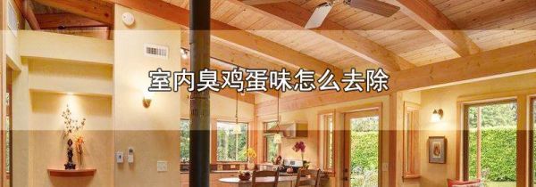 室内臭鸡蛋味怎么去除