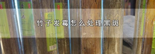 竹子发霉怎么处理黑斑