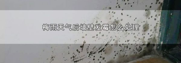 梅雨天气后墙壁发霉怎么处理