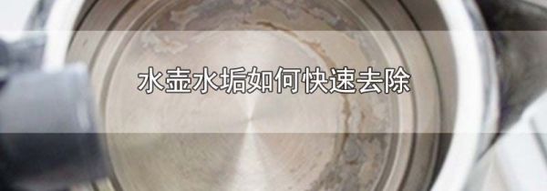 水壶水垢如何快速去除