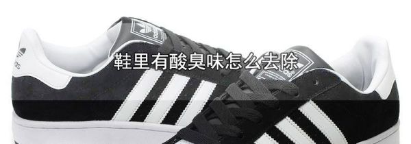 鞋里有酸臭味怎么去除
