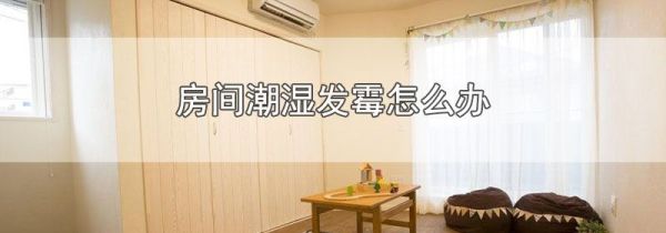 房间潮湿发霉怎么办
