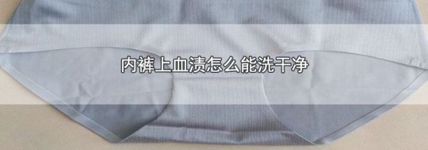 内裤上血渍怎么能洗干净