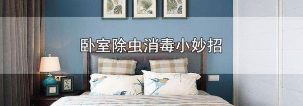 卧室除虫消毒小妙招