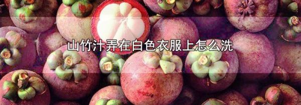 山竹汁弄在白色衣服上怎么洗