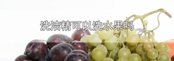 洗洁精可以洗水果吗