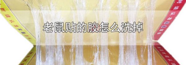老鼠贴的胶怎么洗掉