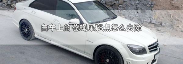 白车上的苍蝇屎斑点怎么去除