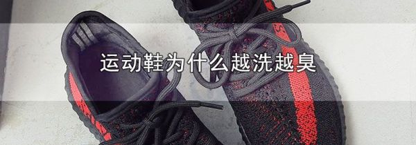 运动鞋为什么越洗越臭