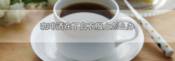 咖啡洒在了白衣服上怎么办