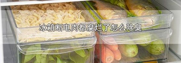 冰箱断电肉都腐烂了怎么除臭