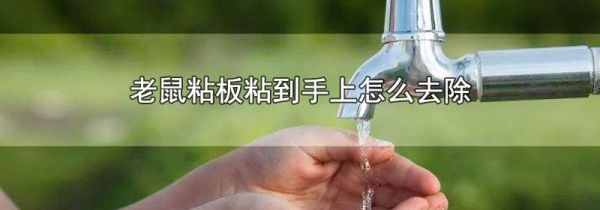 老鼠粘板粘到手上怎么去除