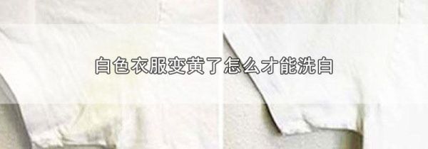 白色衣服变黄了怎么才能洗白