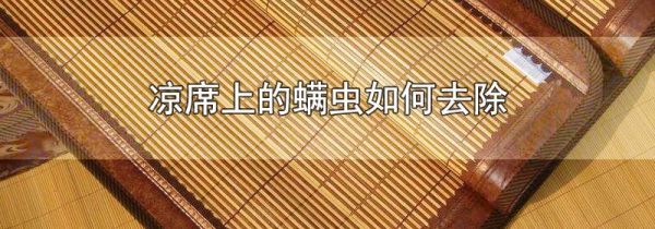 凉席上的螨虫如何去除