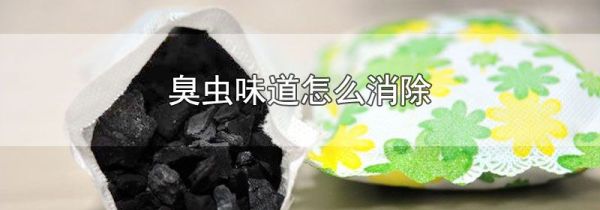 臭虫味道怎么消除