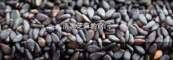 洗黑芝麻的窍门
