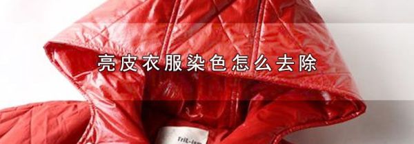 亮皮衣服染色怎么去除
