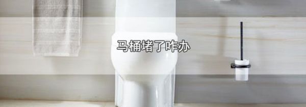 马桶堵了咋办