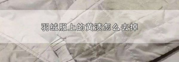 羽绒服上的黄渍怎么去掉
