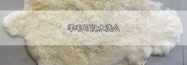 羊毛可以水洗么