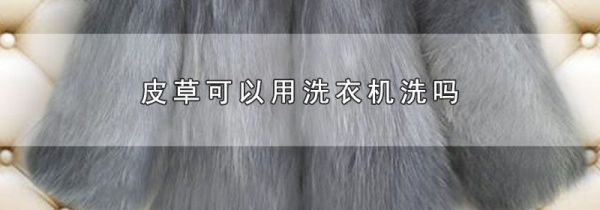 皮草可以用洗衣机洗吗