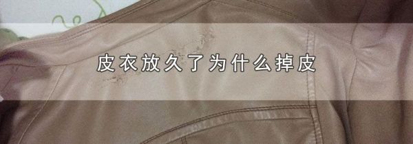 皮衣放久了为什么掉皮