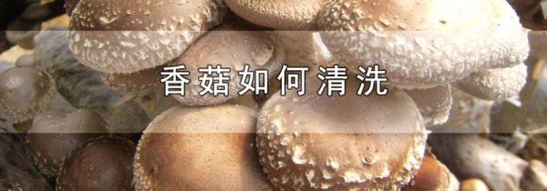 香菇如何清洗