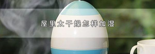 屋里太干燥怎样加湿