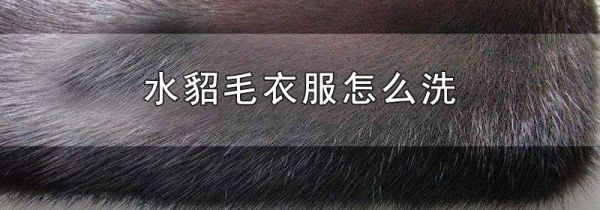 水貂毛衣服怎么洗