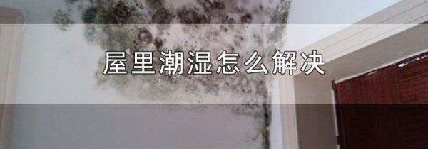 屋里潮湿怎么解决