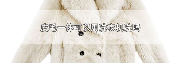 皮毛一体可以用洗衣机洗吗