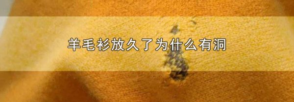 羊毛衫放久了为什么有洞