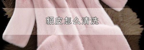 貂皮怎么清洗