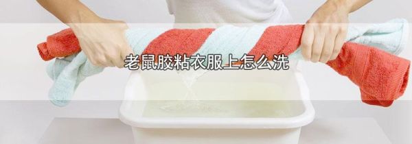 老鼠胶粘衣服上怎么洗