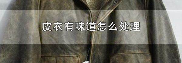 皮衣有味道怎么处理