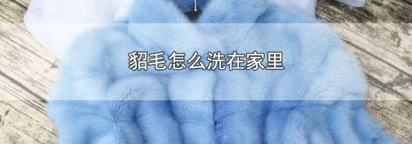 貂毛怎么洗在家里