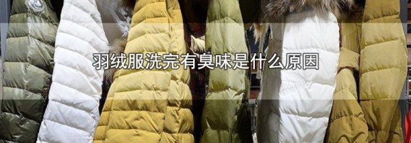 羽绒服洗完有臭味是什么原因