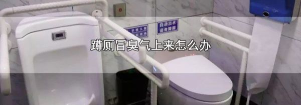 蹲厕冒臭气上来怎么办