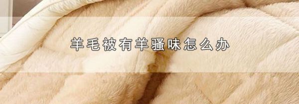 羊毛被有羊骚味怎么办