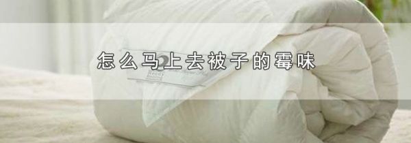 怎么马上去被子的霉味