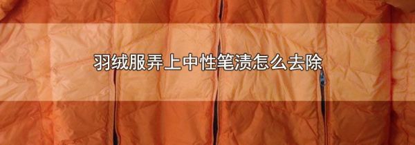 羽绒服弄上中性笔渍怎么去除
