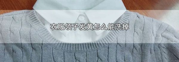 衣服领子发黄怎么能洗掉