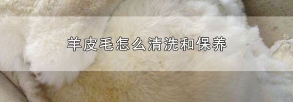 羊皮毛怎么清洗和保养