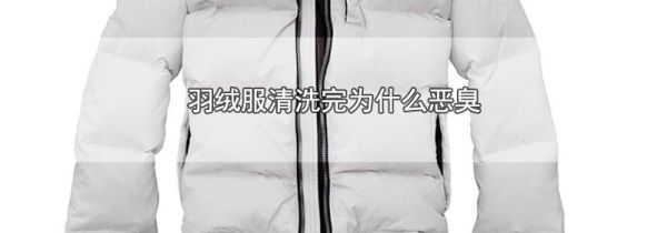 羽绒服清洗完为什么恶臭