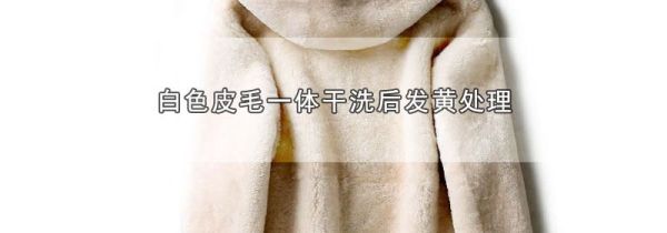 白色皮毛一体干洗后发黄处理