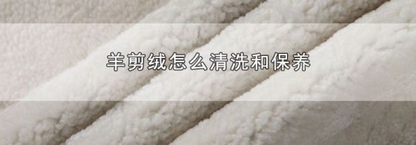 羊剪绒怎么清洗和保养