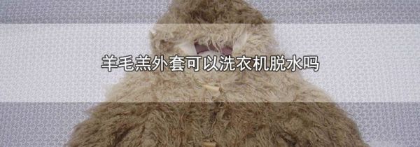 羊毛羔外套可以洗衣机脱水吗