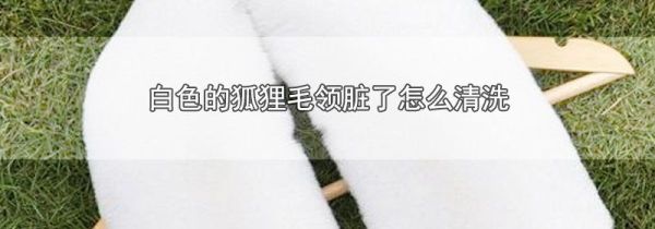 白色的狐狸毛领脏了怎么清洗